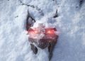 The Witcher 4 may force The Witcher Remastered to be shelved The Witcher 4 may force The Witcher Remastered to be shelved