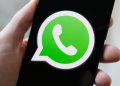 WhatsApp launches new themes and dynamic wallpapers on Android WhatsApp launches new themes and dynamic wallpapers on Android