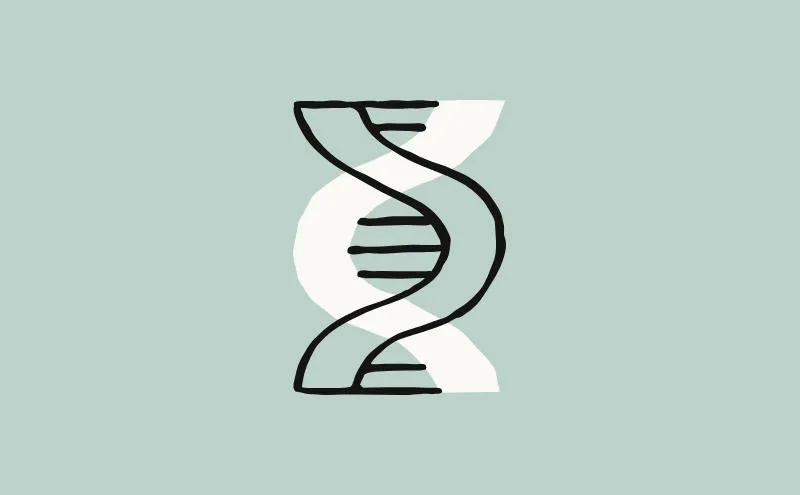 While everyone debates the dangers of artificial intelligence, Anthropic opens a biolab to develop drugs using artificial intelligence While everyone debates the dangers of artificial intelligence, Anthropic opens a biolab to develop drugs using artificial intelligence