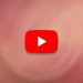 YouTube homepage shows black screen: several reports from users YouTube homepage shows black screen: several reports from users