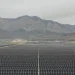 my country’s coal energy share fell below 50% for the first time in the first half of the year my country’s coal energy share fell below 50% for the first time in the first half of the year