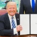 Gift of Destiny: Domain demand in Slovenia’s “.si” region increased by thousands percent after Trump decided to rename AI