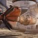 Star Wars Galaxy Racer receives high praise from international critics Star Wars Galaxy Racer receives high praise from international critics