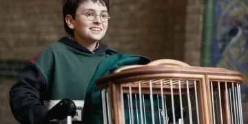 The series “Harry Potter and the Sorcerer’s Stone” gets Russian dubbing: trailer released, premiering on December 25 The series “Harry Potter and the Sorcerer’s Stone” gets Russian dubbing: trailer released, premiering on December 25